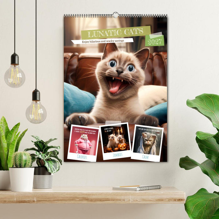 LUNATIC CATS Enjoy hilarious and wacky sayings (CALVENDO Monthly Calendar 2027)
