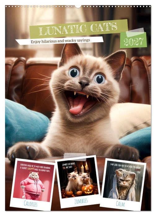 LUNATIC CATS Enjoy hilarious and wacky sayings (CALVENDO Monthly Calendar 2027)