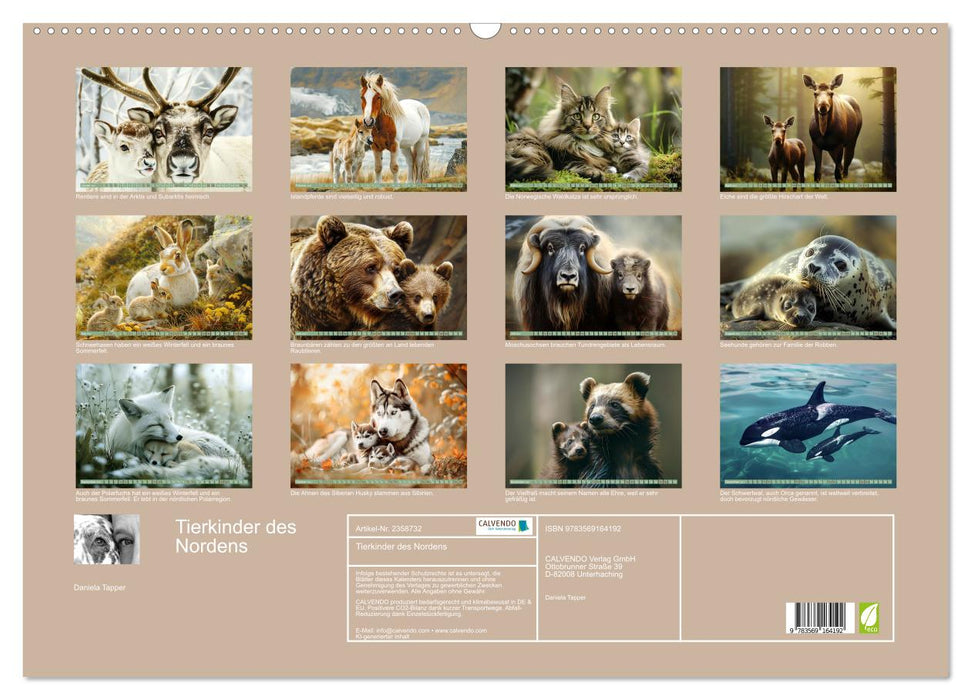 Tierkinder des Nordens (CALVENDO Wandkalender 2027)