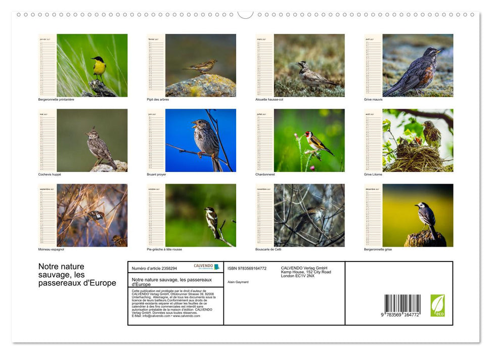 Notre nature sauvage, les passereaux d'Europe (CALVENDO Calendrier supérieur 2027)