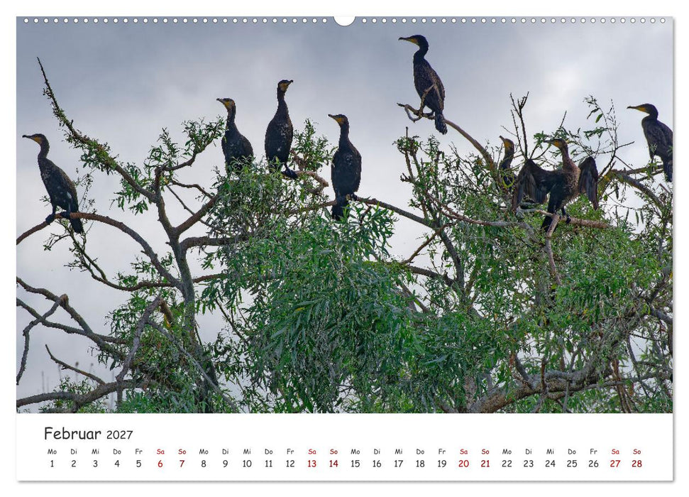 Donau-Delta (CALVENDO Wandkalender 2027)