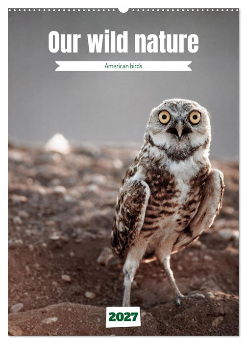 Our wild nature, American birds (CALVENDO Monthly Calendar 2027)