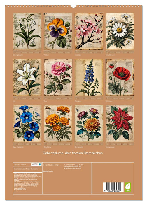 Geburtsblume, dein florales Sternzeichen (CALVENDO Premium Wandkalender 2027)