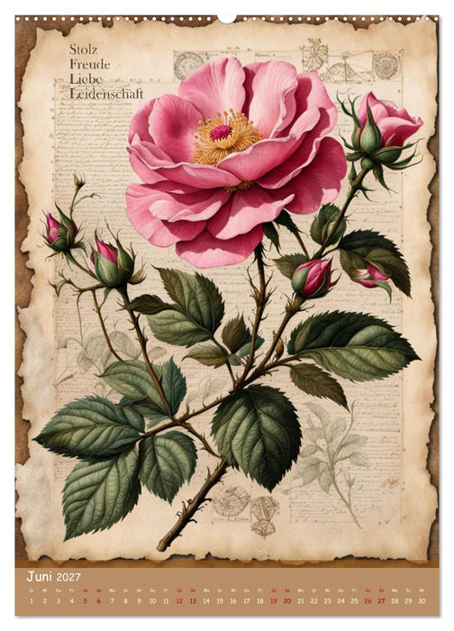 Geburtsblume, dein florales Sternzeichen (CALVENDO Premium Wandkalender 2027)
