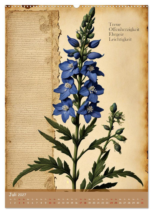 Geburtsblume, dein florales Sternzeichen (CALVENDO Premium Wandkalender 2027)
