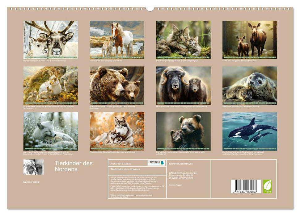 Tierkinder des Nordens (CALVENDO Premium Wandkalender 2027)