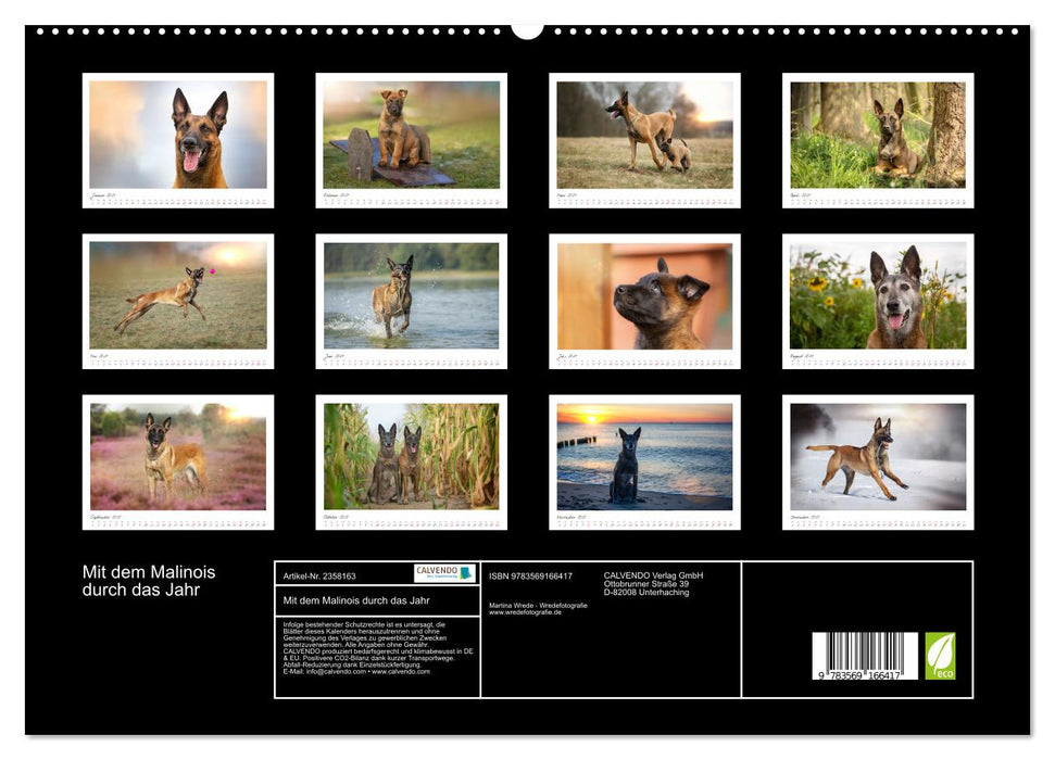 Mit dem Malinois durch das Jahr (CALVENDO Premium Wandkalender 2027)