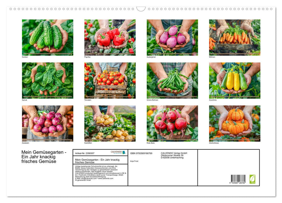 Mein Gemüsegarten - Ein Jahr knackig frisches Gemüse (CALVENDO Wandkalender 2027)
