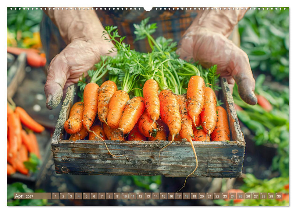 Mein Gemüsegarten - Ein Jahr knackig frisches Gemüse (CALVENDO Wandkalender 2027)