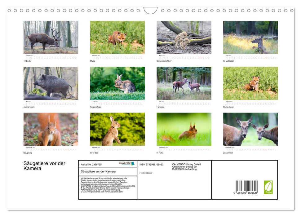 Säugetiere vor der Kamera (CALVENDO Wandkalender 2027)