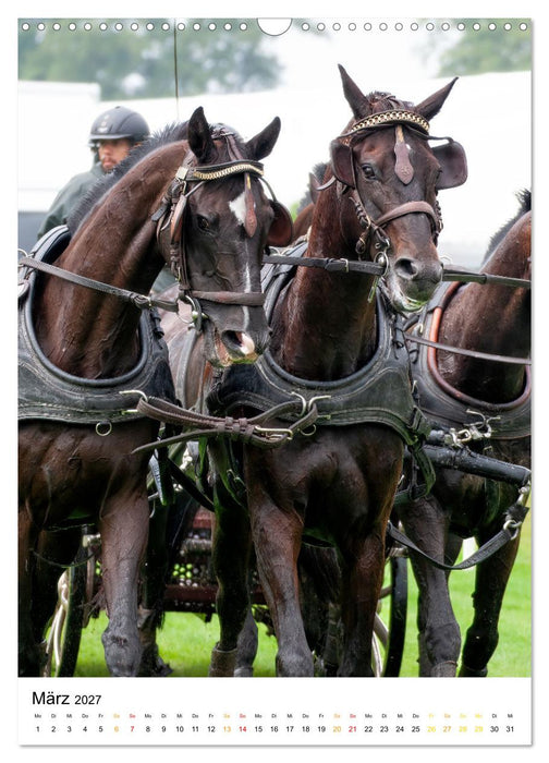 Der Fahrsport ist mehr als nur ein Hobby (CALVENDO Wandkalender 2027)