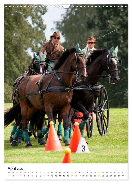 Der Fahrsport ist mehr als nur ein Hobby (CALVENDO Wandkalender 2027)