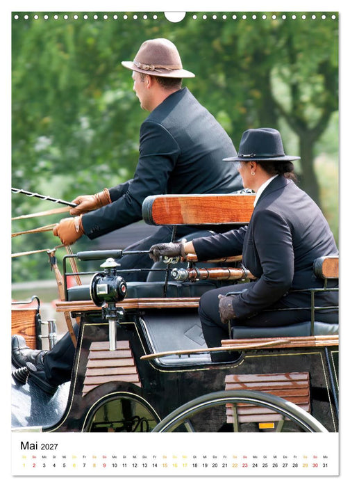 Der Fahrsport ist mehr als nur ein Hobby (CALVENDO Wandkalender 2027)