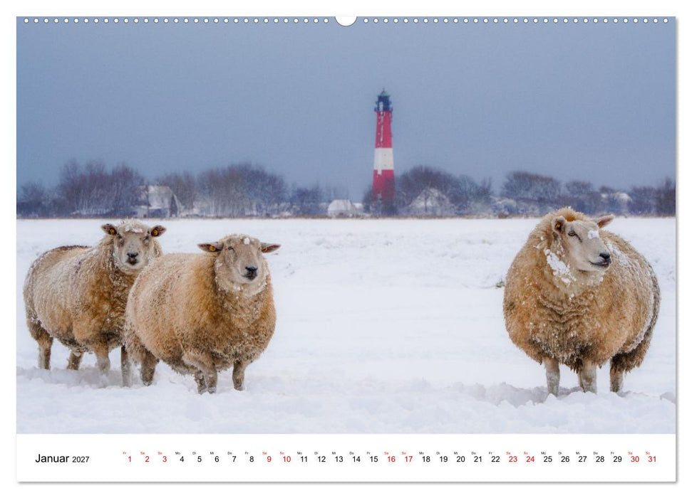 Pellwormer Ogenblicke, ein Streifzug durch ein Inseljahr (CALVENDO Premium Wandkalender 2027)