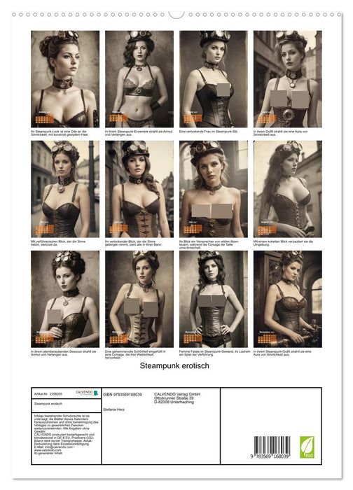 Steampunk erotisch (CALVENDO Premium Wandkalender 2027)