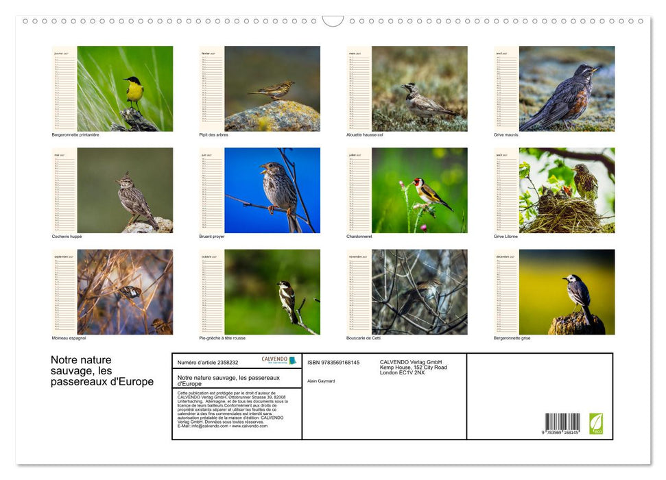 Notre nature sauvage, les passereaux d'Europe (CALVENDO Calendrier mensuel 2027)