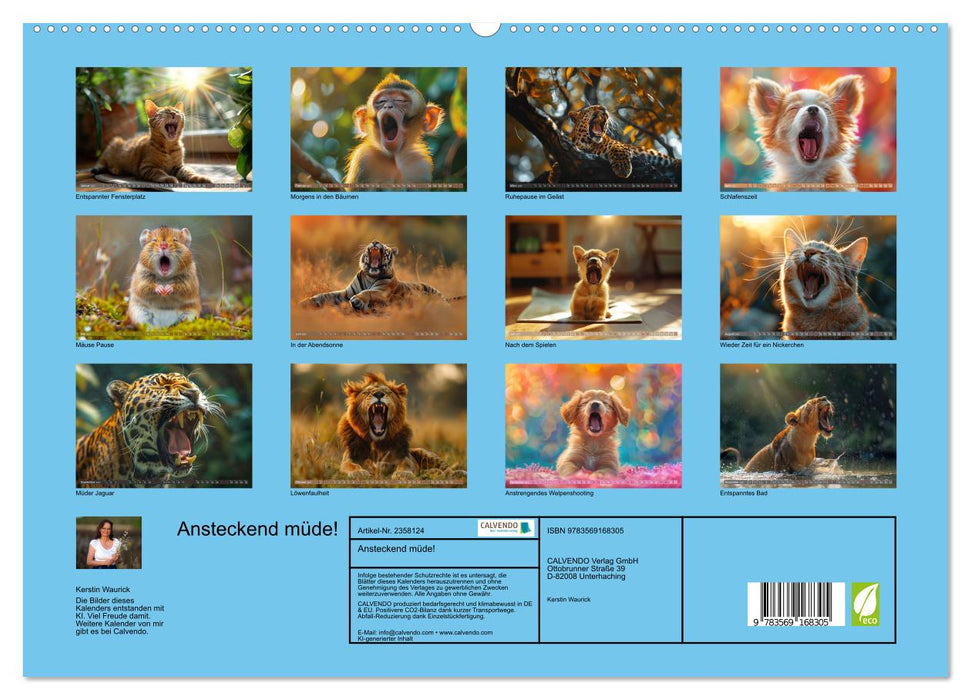 Ansteckend müde! (CALVENDO Premium Wandkalender 2027)
