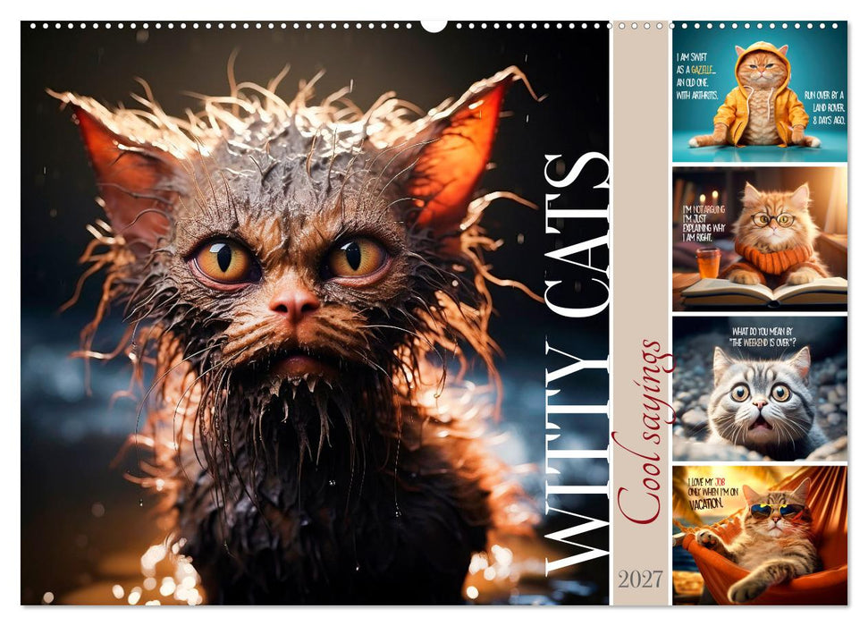 WITTY CATS Cool sayings (CALVENDO Monthly Calendar 2027)