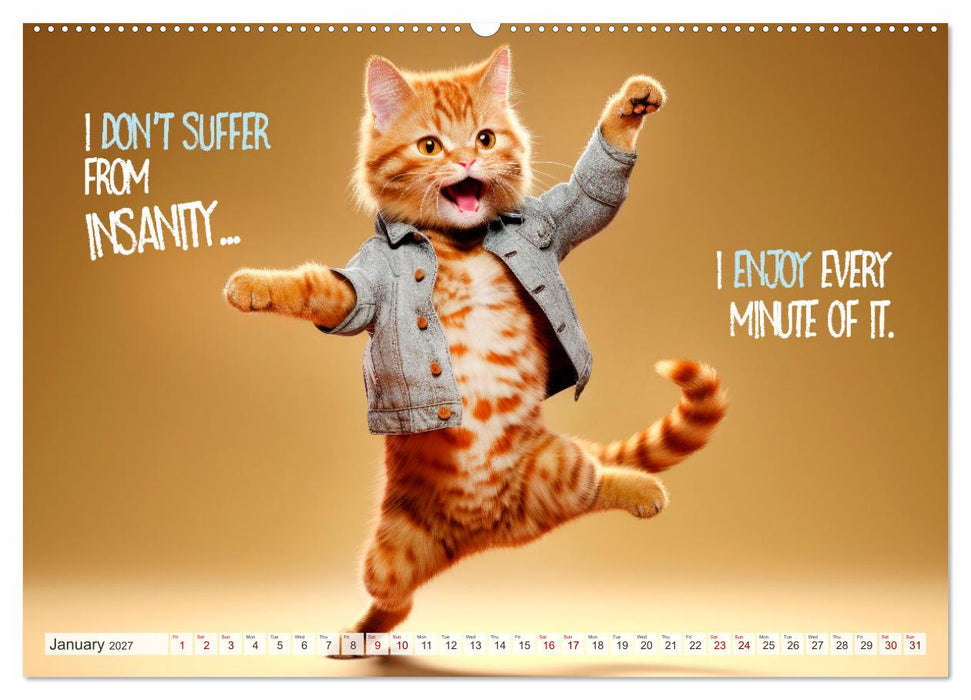 WITTY CATS Cool sayings (CALVENDO Monthly Calendar 2027)