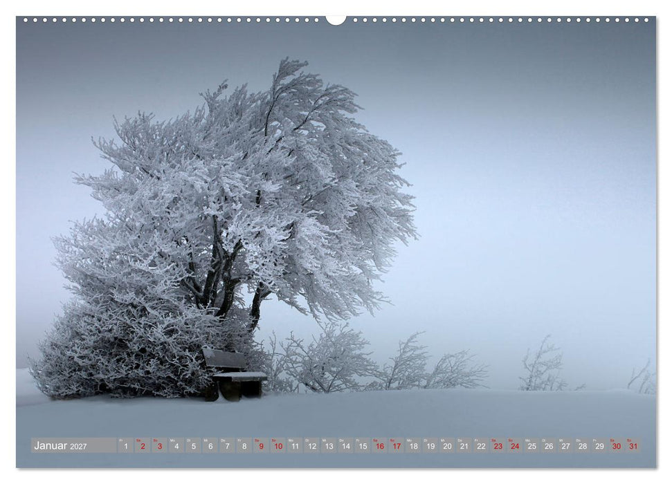 Wunderschöne schwäbische Alb (CALVENDO Wandkalender 2027)