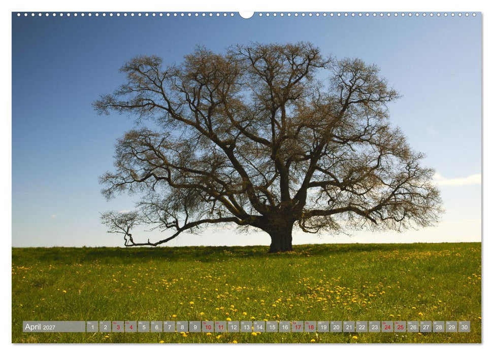 Wunderschöne schwäbische Alb (CALVENDO Wandkalender 2027)
