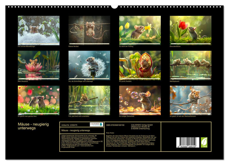 Mäuse - neugierig unterwegs (CALVENDO Premium Wandkalender 2027)
