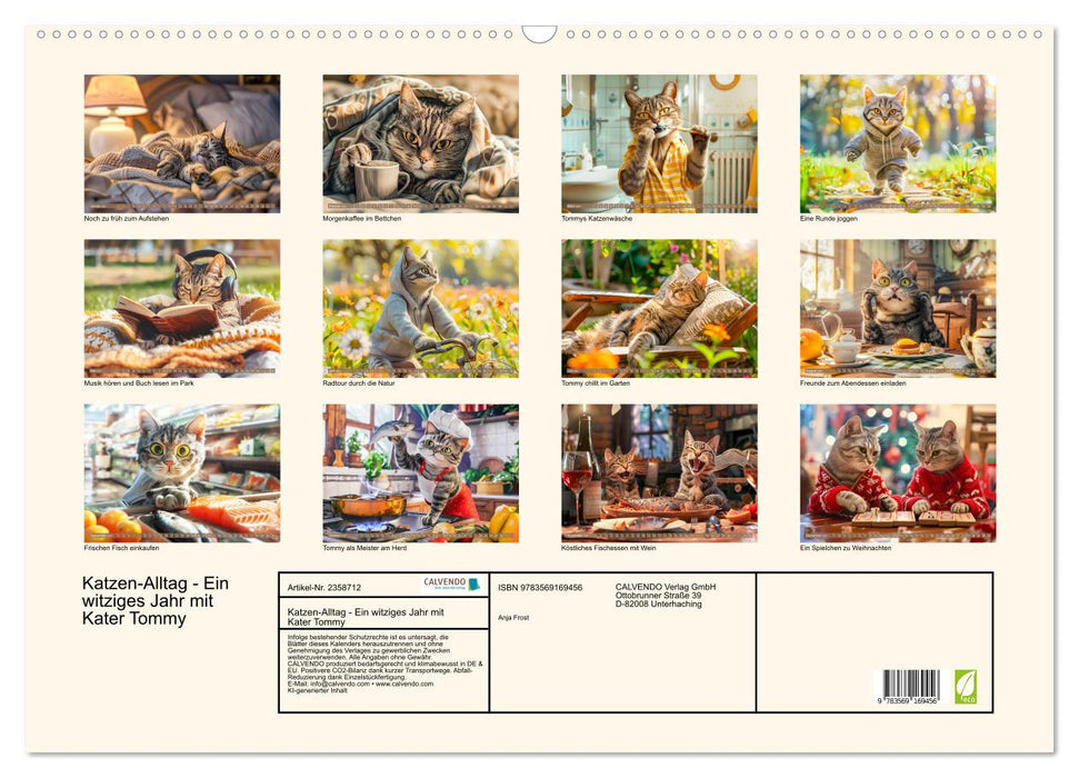Katzen-Alltag - Ein witziges Jahr mit Kater Tommy (CALVENDO Wandkalender 2027)