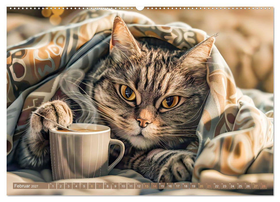 Katzen-Alltag - Ein witziges Jahr mit Kater Tommy (CALVENDO Wandkalender 2027)