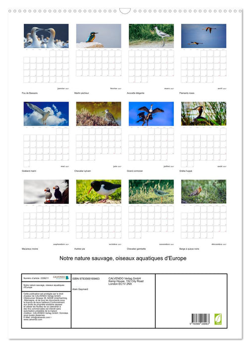 Notre nature sauvage, oiseaux aquatiques d'Europe (CALVENDO Calendrier mensuel 2027)