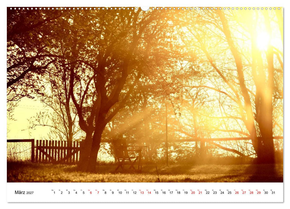 Pellwormer Ogenblicke, ein Streifzug durch ein Inseljahr (CALVENDO Wandkalender 2027)