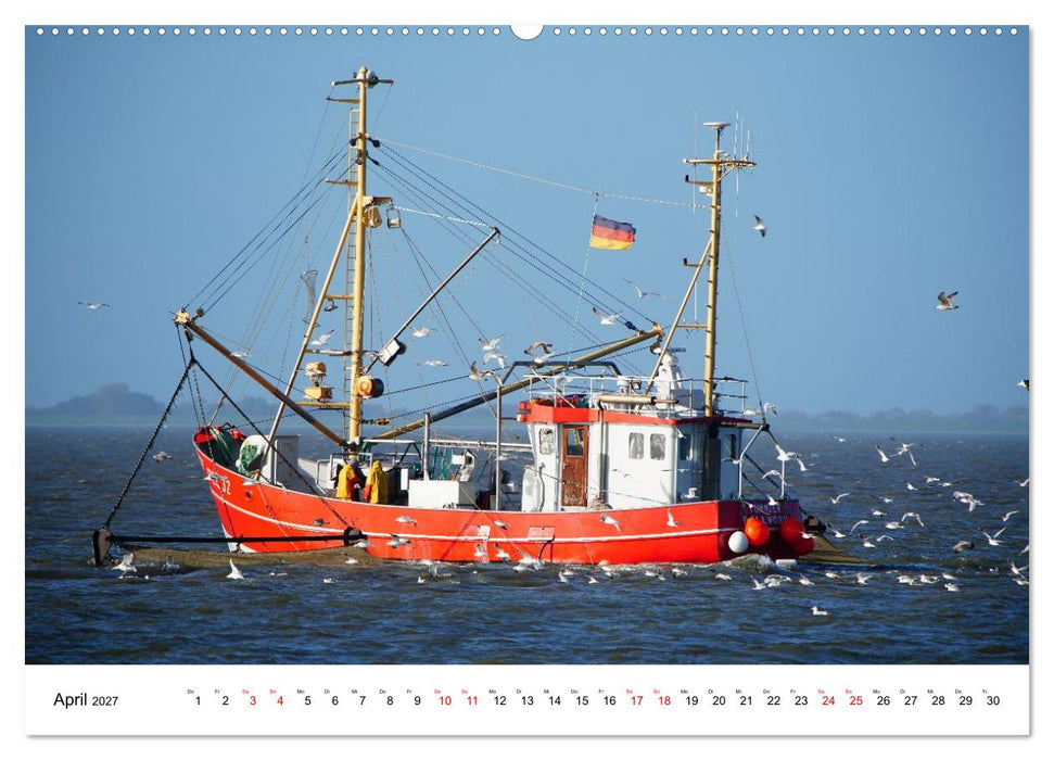 Pellwormer Ogenblicke, ein Streifzug durch ein Inseljahr (CALVENDO Wandkalender 2027)