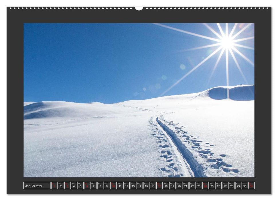 Grüße aus Wald (CALVENDO Premium Wandkalender 2027)