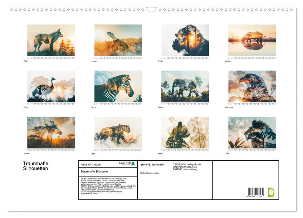 Traumhafte Silhouetten (CALVENDO Wandkalender 2027)