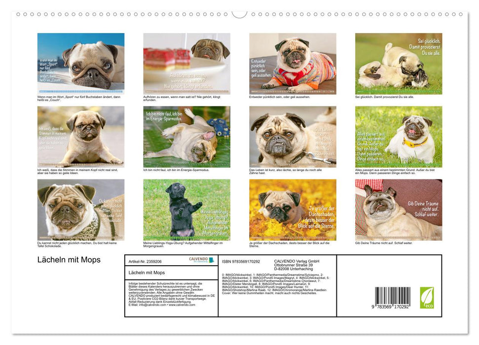 Lächeln mit Mops (CALVENDO Premium Wandkalender 2027)