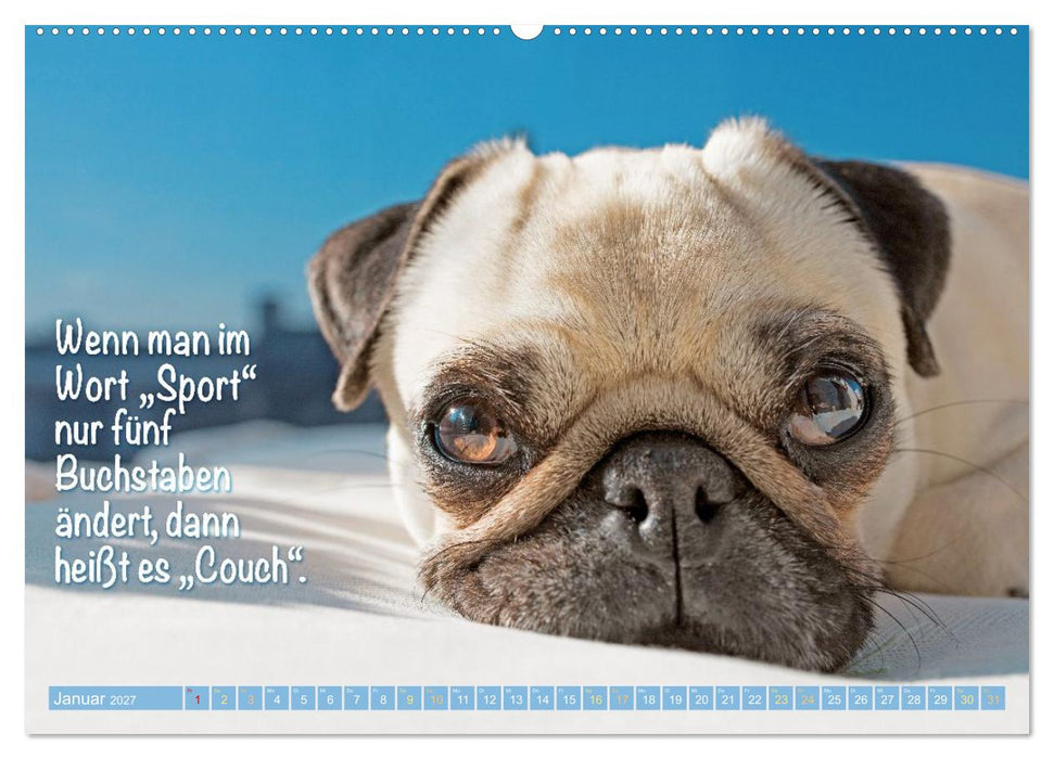 Lächeln mit Mops (CALVENDO Premium Wandkalender 2027)