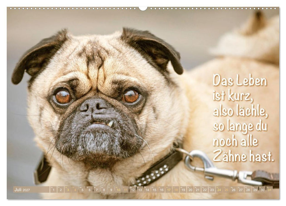 Lächeln mit Mops (CALVENDO Premium Wandkalender 2027)