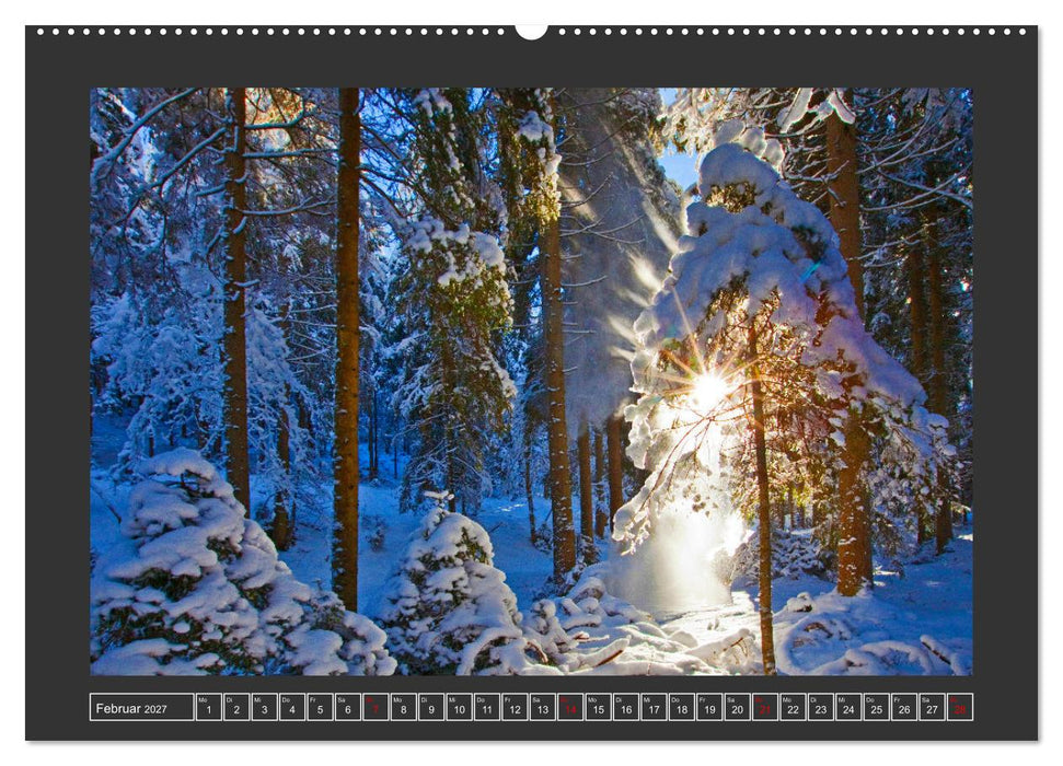 Grüße aus Wald (CALVENDO Wandkalender 2027)