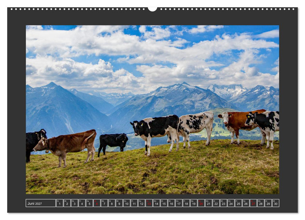 Grüße aus Wald (CALVENDO Wandkalender 2027)
