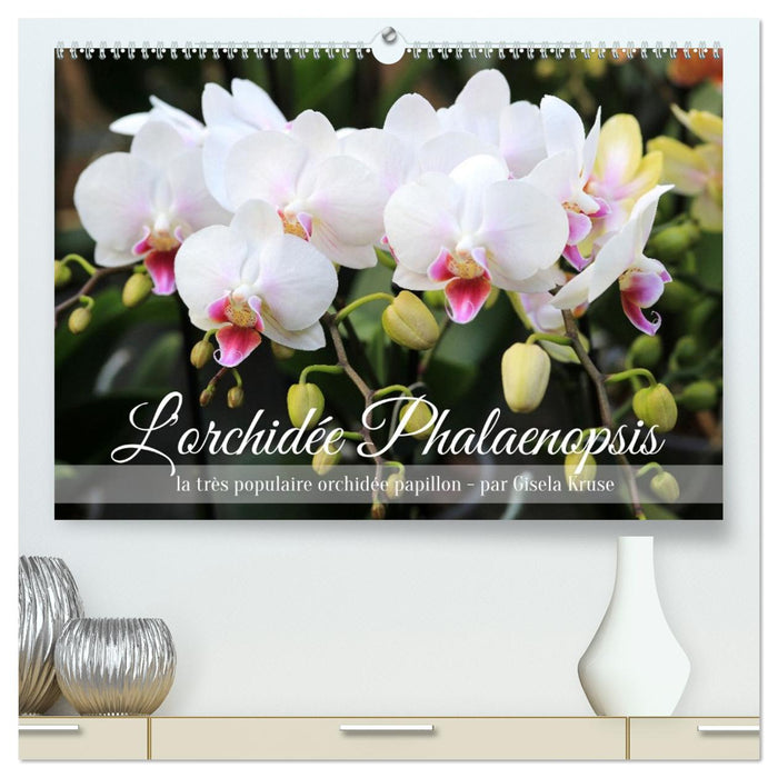 L'orchidée Phalaenopsis (CALVENDO Calendrier supérieur 2027)