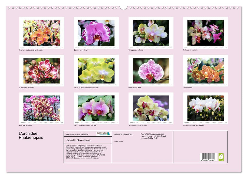 L'orchidée Phalaenopsis (CALVENDO Calendrier mensuel 2027)