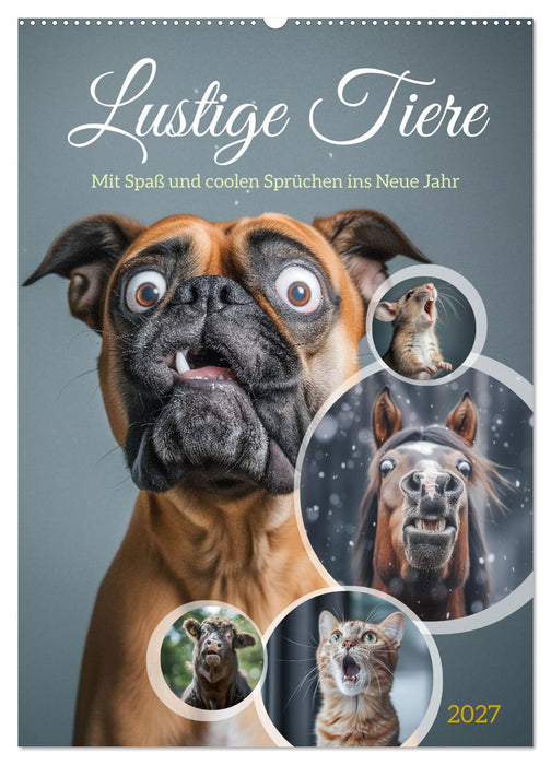 Lustige Tiere (CALVENDO Wandkalender 2027)