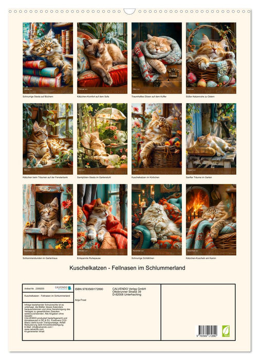 Kuschelkatzen - Fellnasen im Schlummerland (CALVENDO Wandkalender 2027)