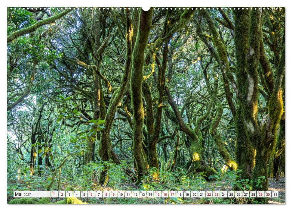 Kanarische Inseln: La Gomera (CALVENDO Wandkalender 2027)