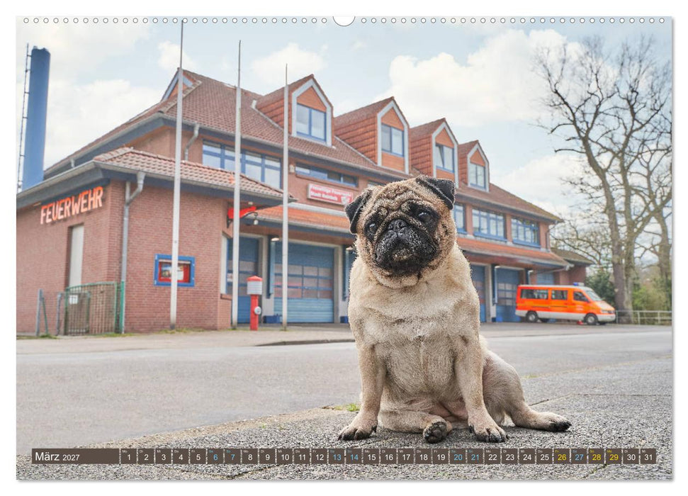 Reinbek mopsfidel (CALVENDO Wandkalender 2027)