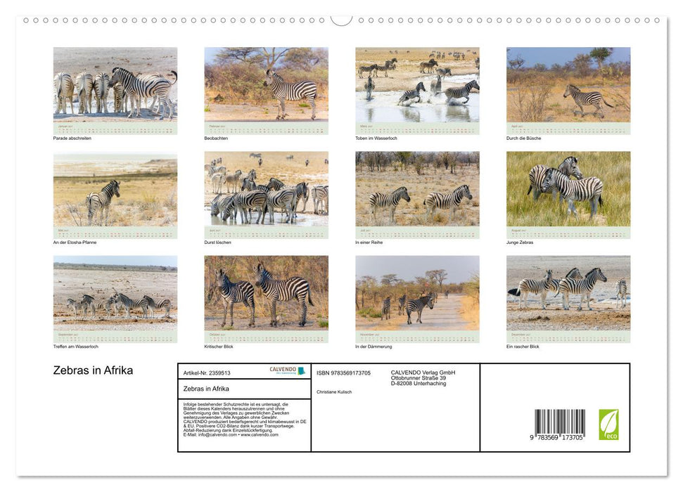 Zebras in Afrika (CALVENDO Premium Wandkalender 2027)