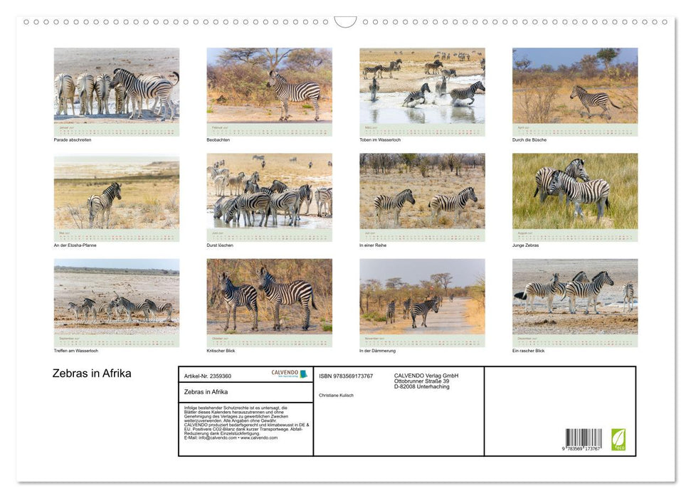 Zebras in Afrika (CALVENDO Wandkalender 2027)