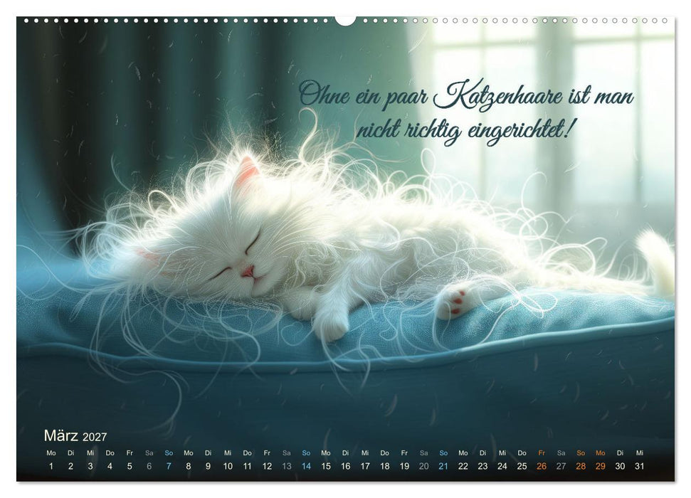 Samtpfotensprüche (CALVENDO Wandkalender 2027)