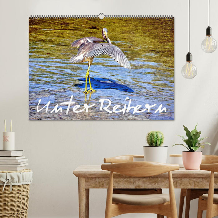 Unter Reihern (CALVENDO Wandkalender 2027)