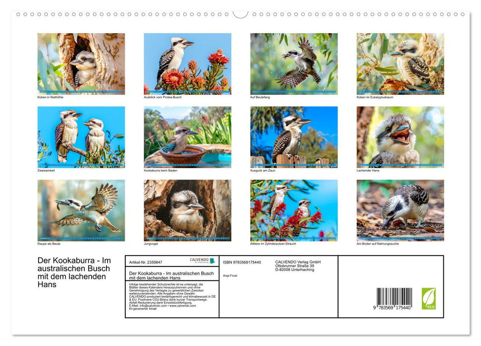 Der Kookaburra - Im australischen Busch mit dem lachenden Hans (CALVENDO Premium Wandkalender 2027)