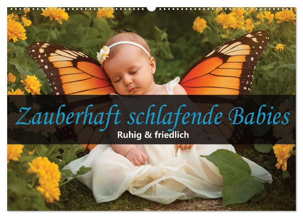 Zauberhaft schlafende Babies - Ruhig und friedlich (CALVENDO Wandkalender 2027)
